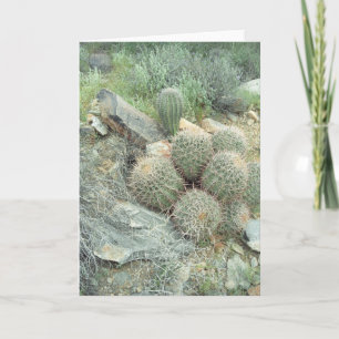 Carte de voeux Saguaro Swirl