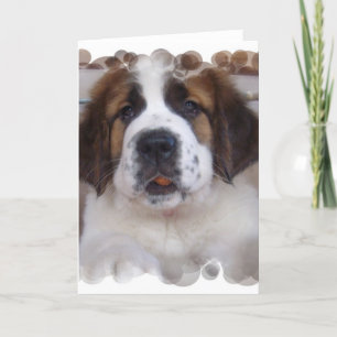 Carte de voeux Saint Bernard