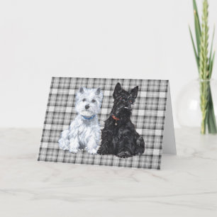 Carte de vœux Scottish Terrier