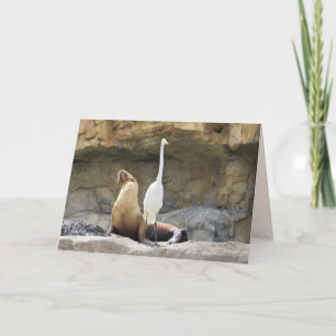 Carte de voeux Sea Lion et Egret