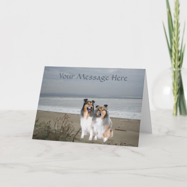 Carte de voeux Sheltie (Devant)