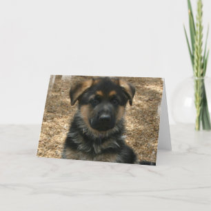 Carte de voeux Shepherd Puppy