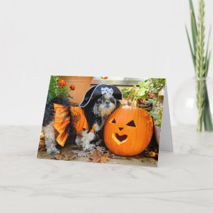 Carte de voeux Shih Tzu Pirate Girl