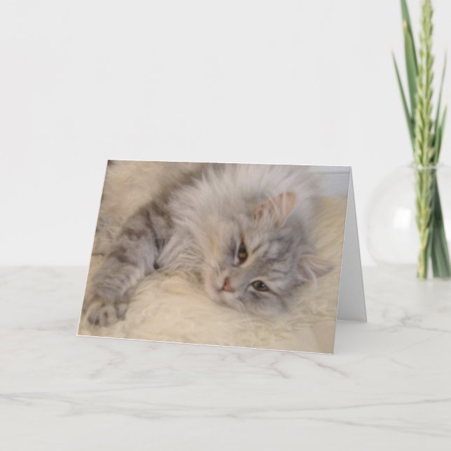 Carte de voeux sibérienne de chat (Devant)