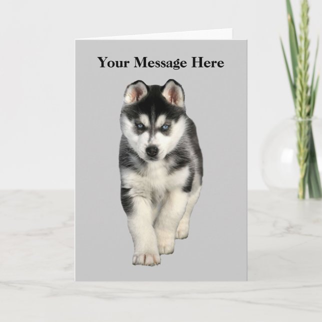 Carte de voeux Sibérienne Husky (Devant)