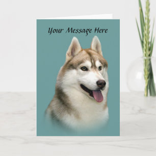Carte de voeux Sibérienne Husky magnifique