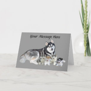 Carte de voeux Sibérienne Husky & Puppies