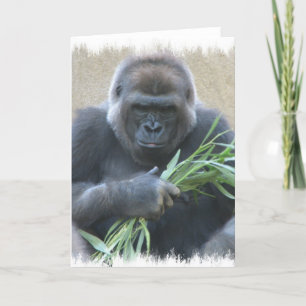 Carte de voeux Silverback Gorilla