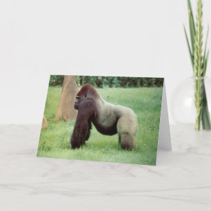 Carte de voeux Silverback Gorilla