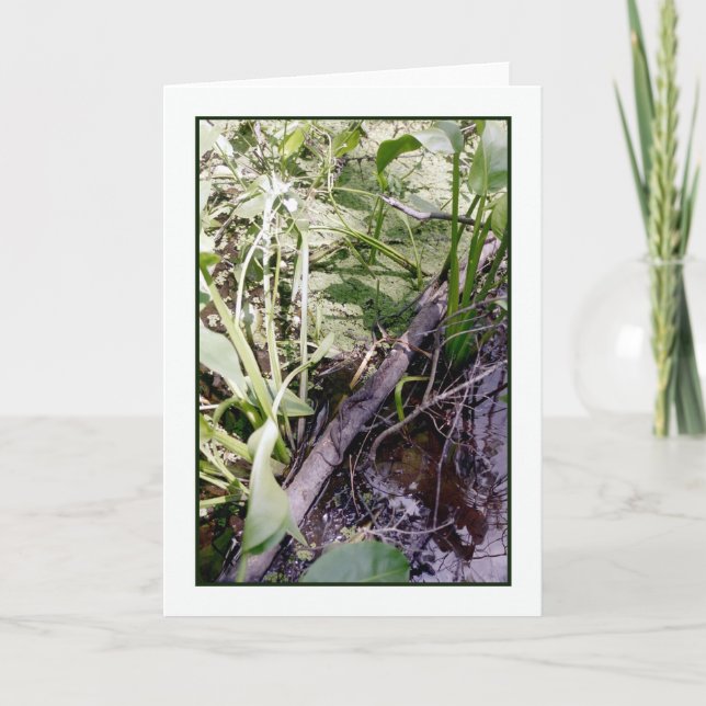 Carte de voeux Snake Sunbath (Devant)