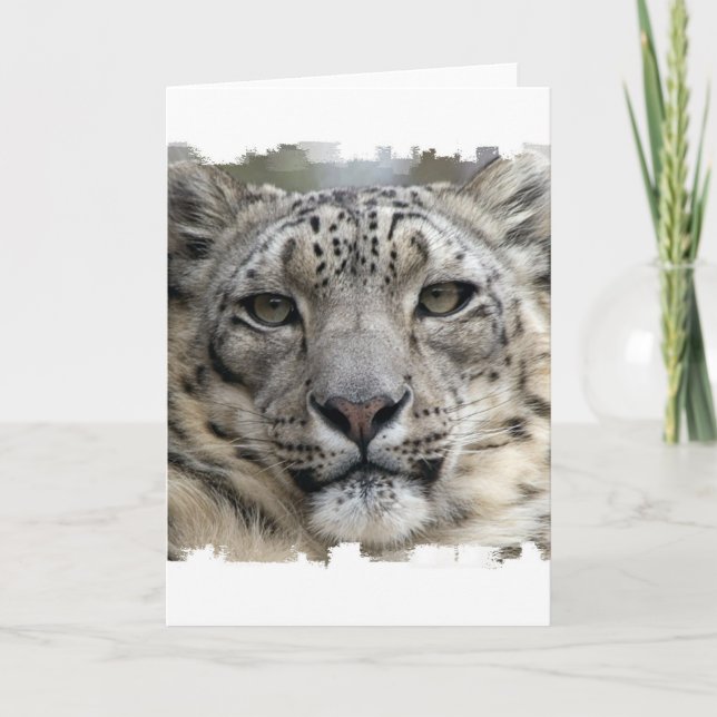 Carte de voeux Snow Leopard (Devant)