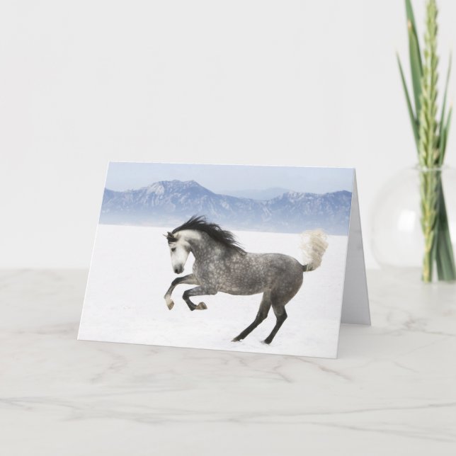 Carte de voeux Snowy Romp Horse (Devant)
