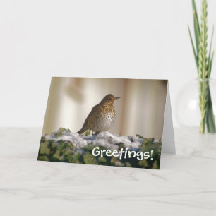 Carte de voeux Song Thrush