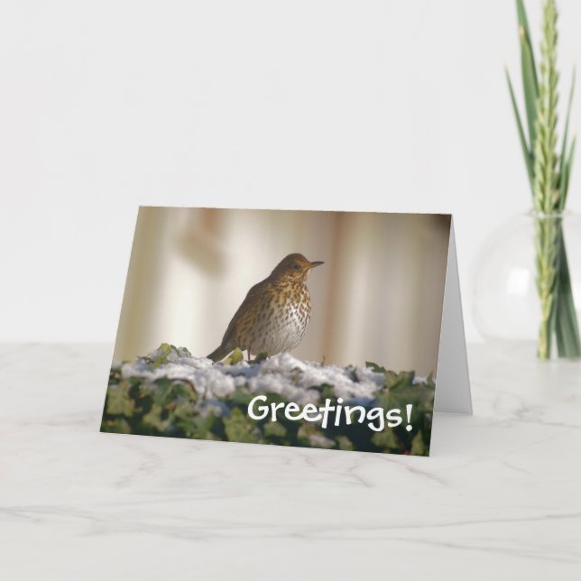 Carte de voeux Song Thrush (Devant)