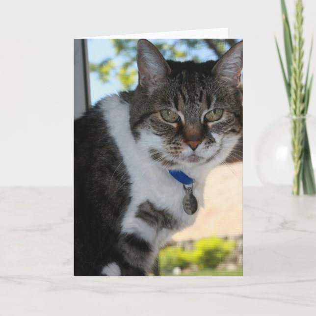 Carte de voeux souple vide (Devant)