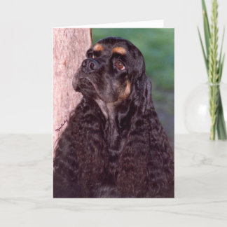 Carte de voeux Spaniel Champion Cocker Black & Tan