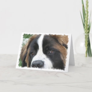 Carte de voeux St Bernard Puppies