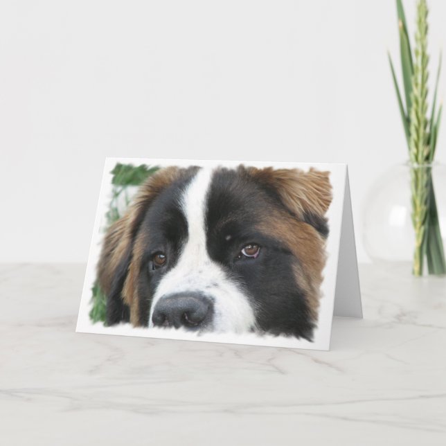Carte de voeux St Bernard Puppies (Devant)