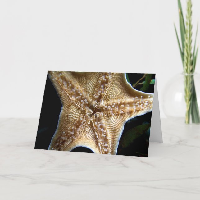 Carte de voeux Starfish (Devant)