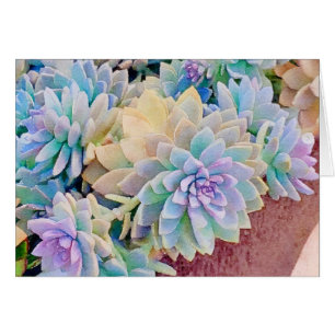 Carte de voeux Succulente
