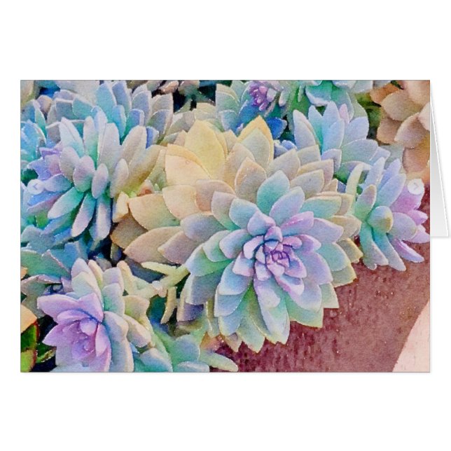 Carte de voeux Succulente (Devant Horizontal)