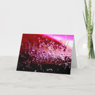 Carte de voeux succulente