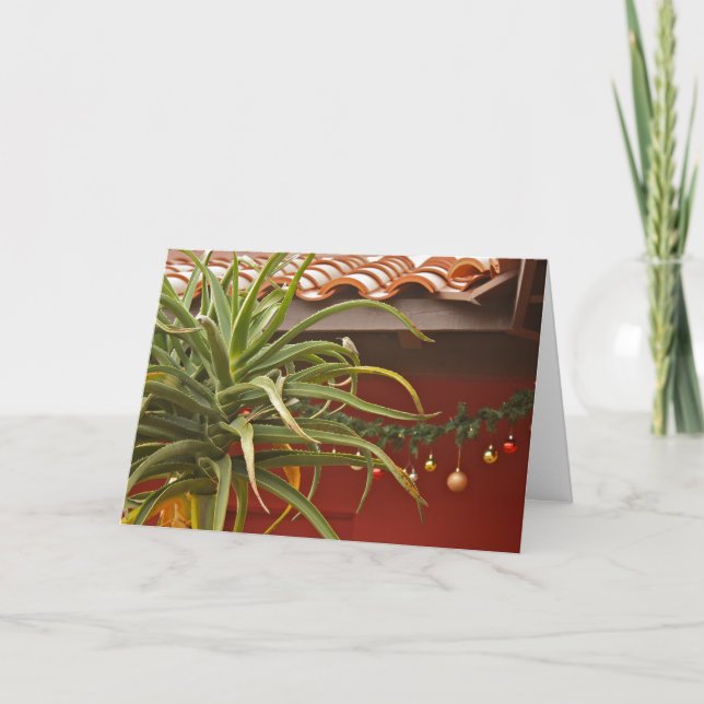 Carte de voeux succulente de jardin : Aloedays (Devant)
