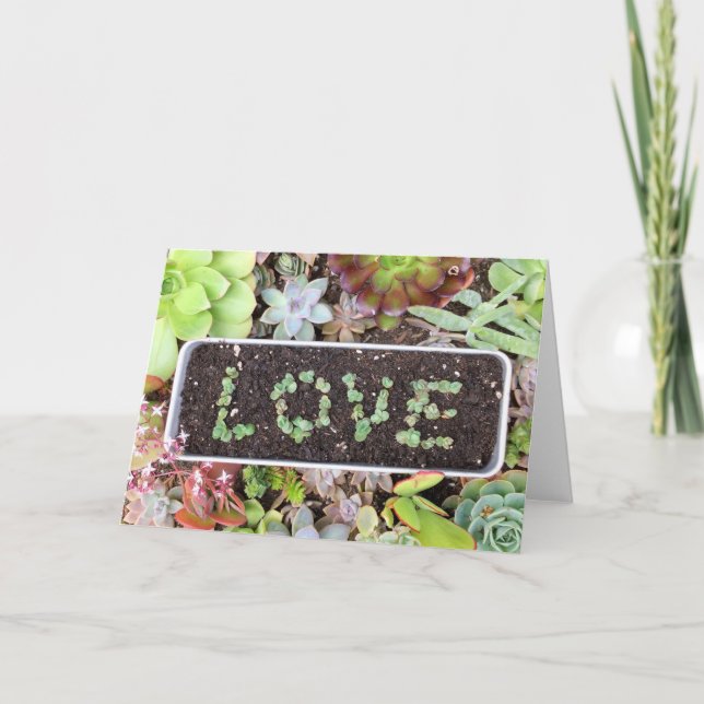 Carte de voeux succulente de jardin d'AMOUR (Devant)