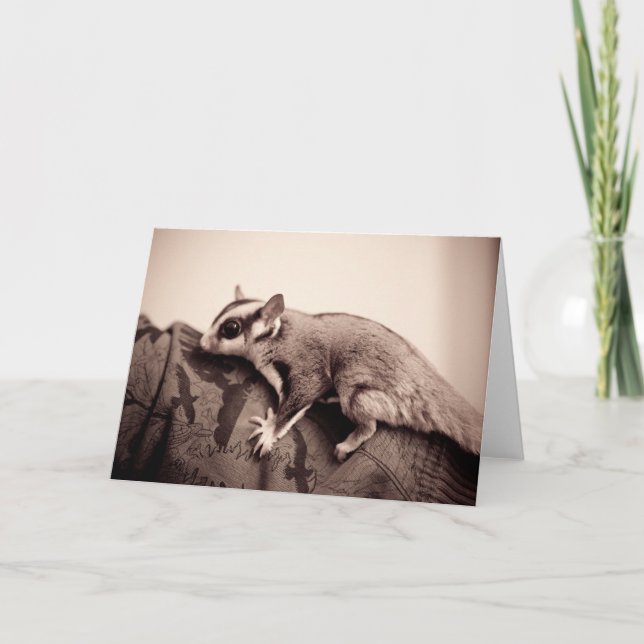 Carte de voeux Sugar Glider (Devant)