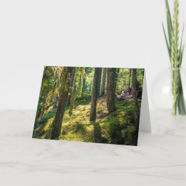 Carte de voeux Sunlit Forest (vide)