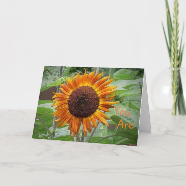 Carte de voeux Sunshine Of My Life Sunflower (Devant)