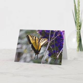 Carte de voeux Swallowtail Butterfly