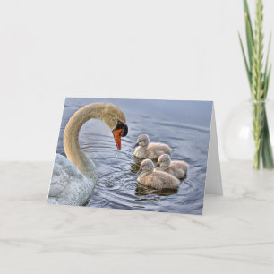 Carte de voeux Swan & Baby