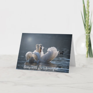 Carte de voeux Swans
