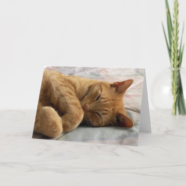 Carte de voeux Sweet Dreams (Devant)