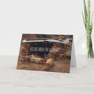 Carte de voeux Sympathy Pig