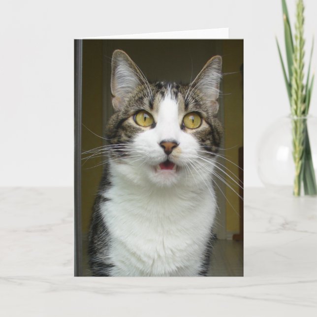 Carte de voeux Syrus Shocked 0001 (Devant)