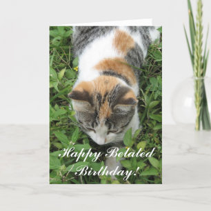 Carte de voeux tardive heureuse de chat de calicot