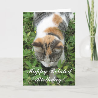 Carte de voeux tardive heureuse de chat de calicot