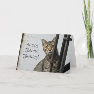 Carte de voeux tardive heureuse de chat tigré