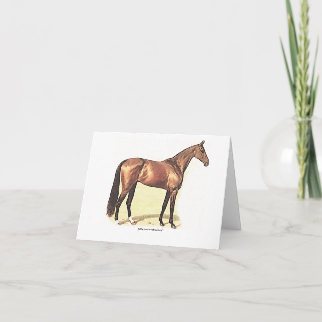 Carte de voeux Thoroughbred (Devant)