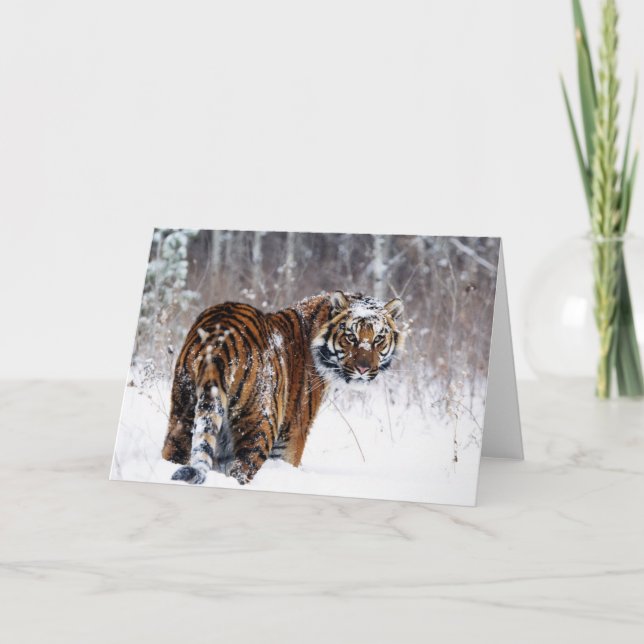 Carte de voeux Tiger (Devant)