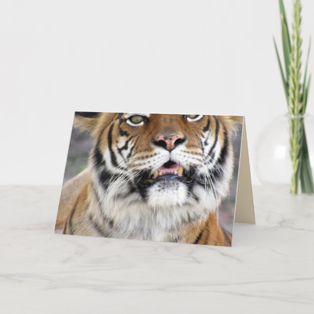 Carte de voeux Tiger (Devant)