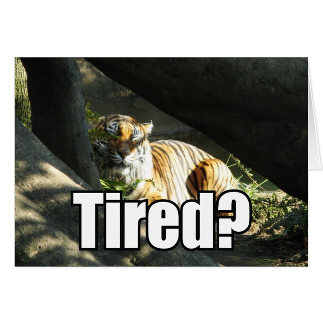 Carte de voeux Tiger Catnap (Devant horizontal)