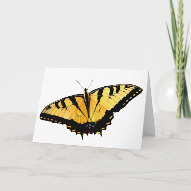 Carte de voeux Tiger Swallowtail (Devant)