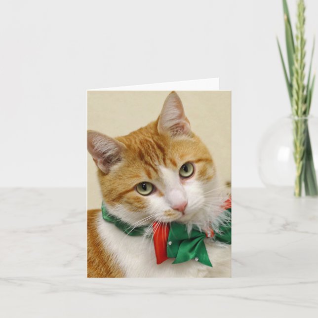 Carte de voeux tigrée de Noël de délivrance de (Devant)