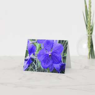 Carte de voeux tout usage Vanda bleu Orchids
