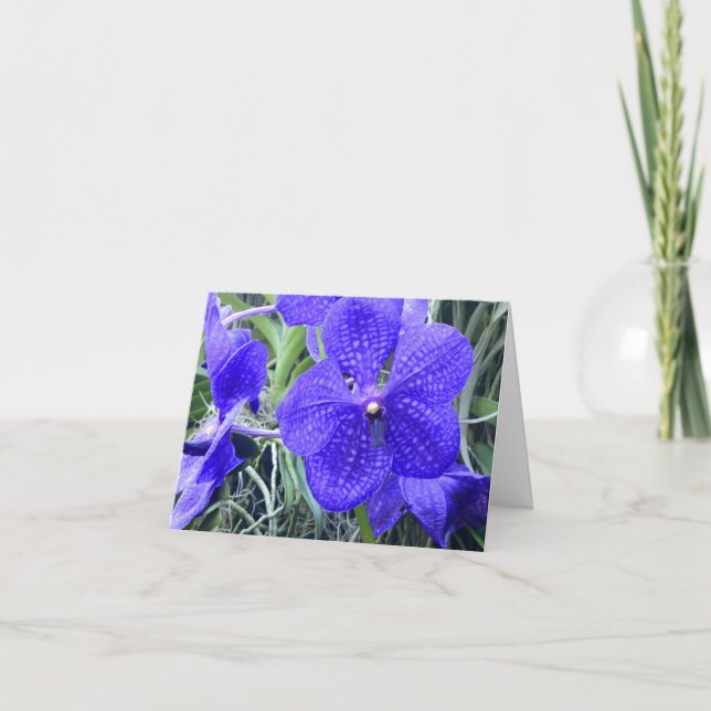 Carte de voeux tout usage Vanda bleu Orchids (Devant)