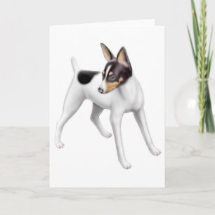 Carte de voeux Toy Fox Terrier