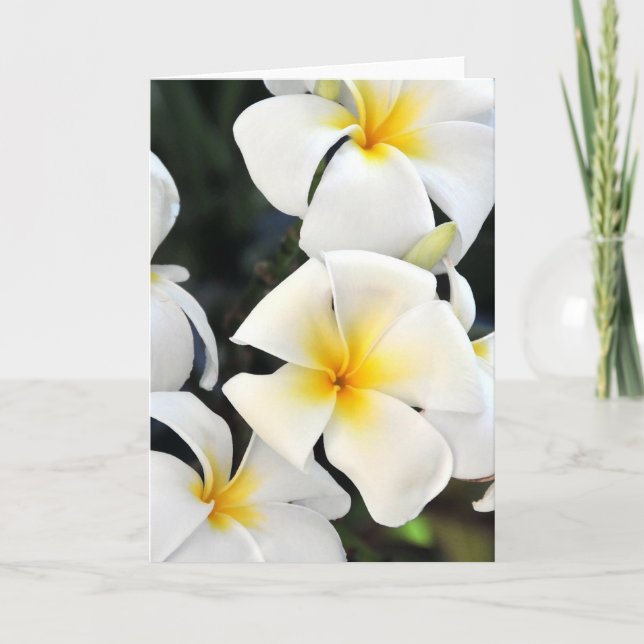 Carte de voeux tropicale Hawaiian Plumeria (Devant)